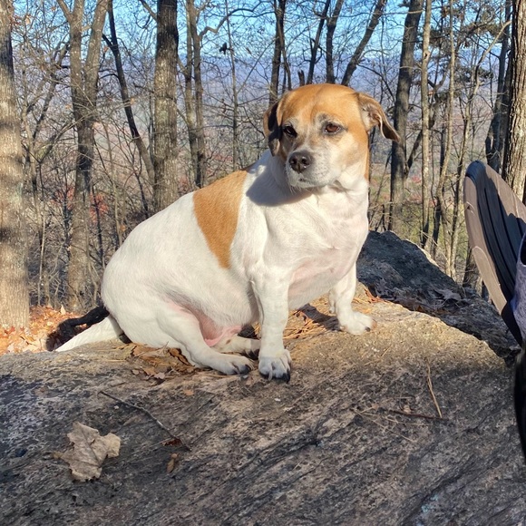 Meet your Posher, Susan - Picture 4 of 5